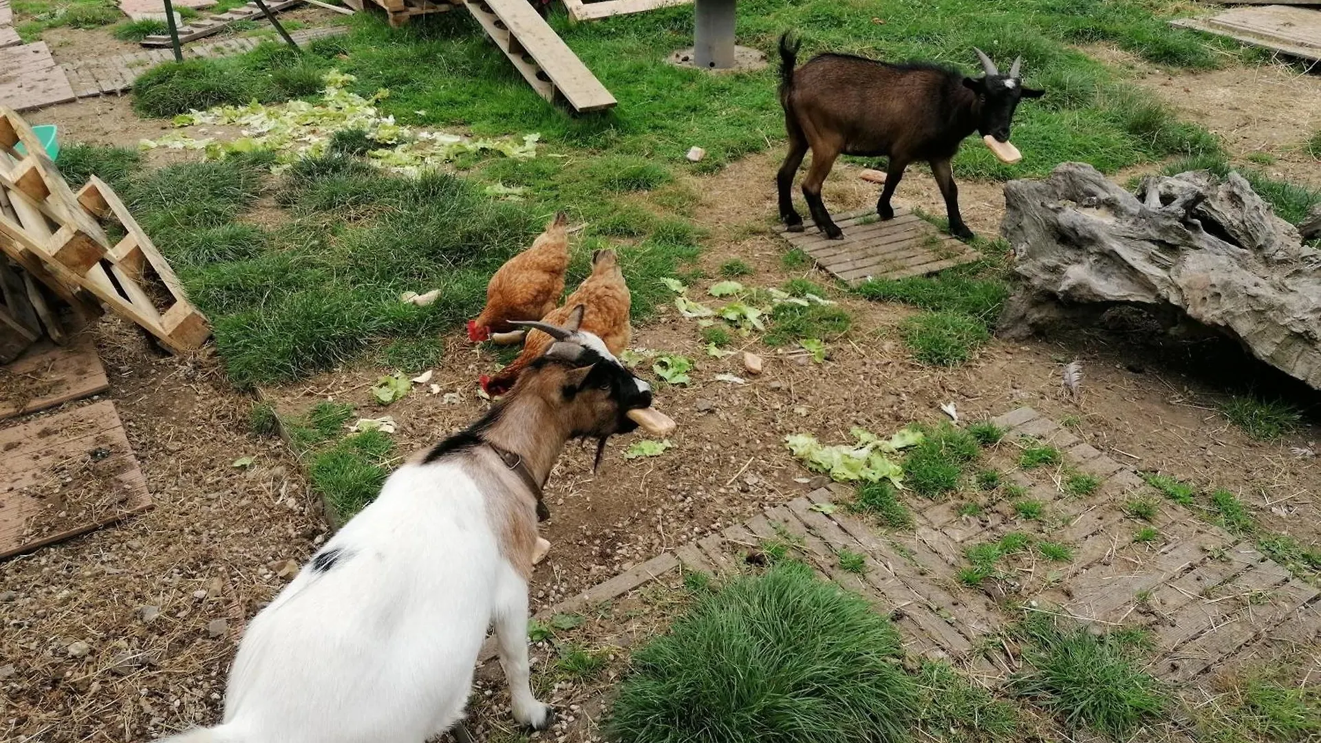 Pansiyon Chez Sylvie, Petit Dejeuner Offert Val-d'Ize Fransa
